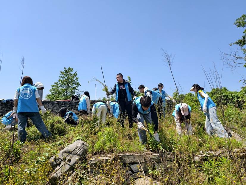 388vip太阳集团员工在石漠化严重的撂荒地开展劳动2